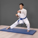 COLCHONETA 1,20 X 0,50 X 4CM de grosor premium Made in Spain!